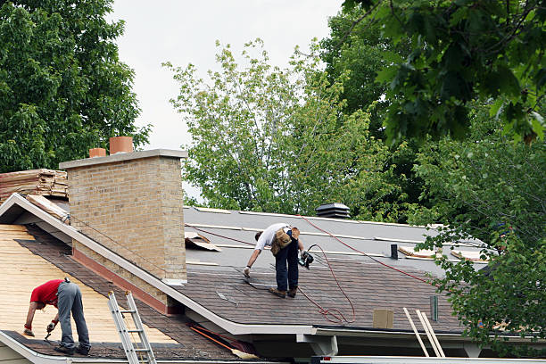 Best Metal Roofing Contractor  in Fox Lake, IL